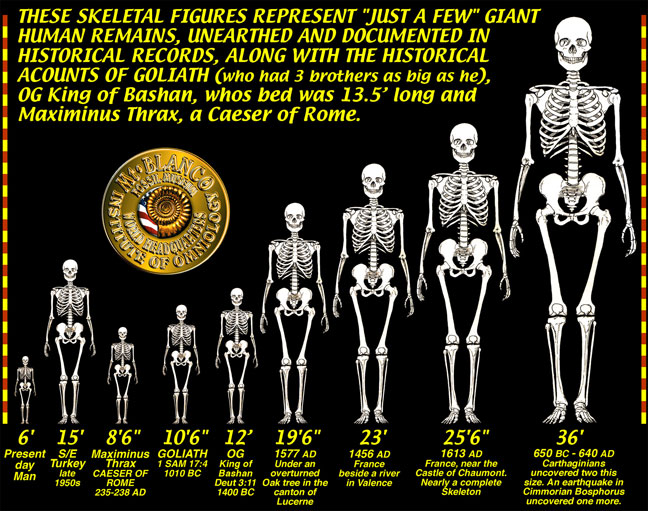 http://www.omniology.com/GIANT-SKELETONS-CHART.jpg